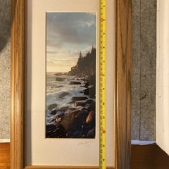 Sunrise Otter Cliffs Acadia Nation Park Photograph By Alan Hoelzle