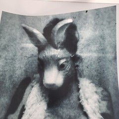 Signed Jenna Manson Horror Photography 11 X 17 BLACK AND WHITE BUNNY