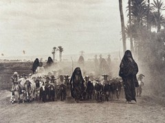 Lehnert and Landrock Antique Photo «Egypt, Shepard Driving Homeward» w/ Matt