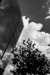 Los Angeles Cityscape art Photography B+W 8×12″ Archival Lustre Print