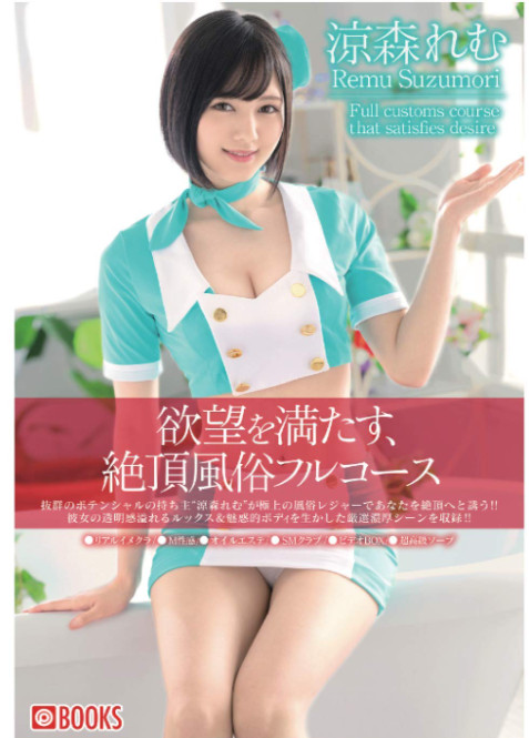 【PHOTO BOOK 】Remu Suzumori Satisfying Desires paper bag Japan From Japan