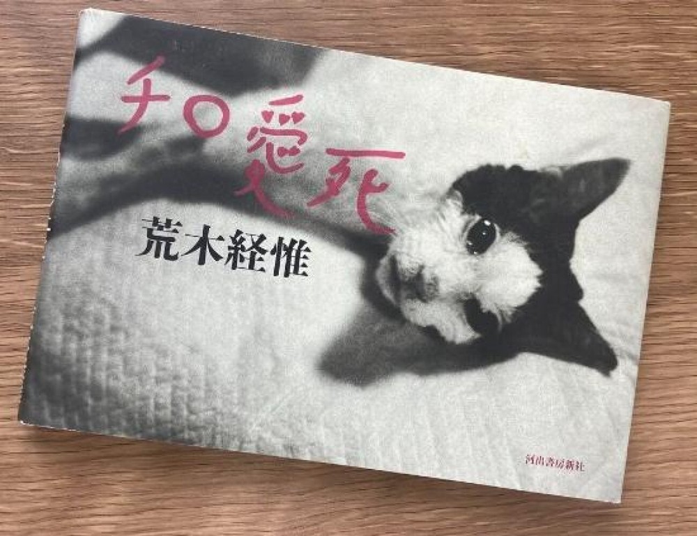 Nobuyoshi Araki Cat Chiro love death Ai shi Photo Book