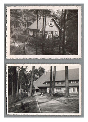 2 Photos Architectural Forest House Country House in Pine Forest c. 1920-1930 (F1172)