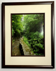 Glossy Photograph: Brook and Stone Wall. 15 in. x 12 in. Diane L. Deanna