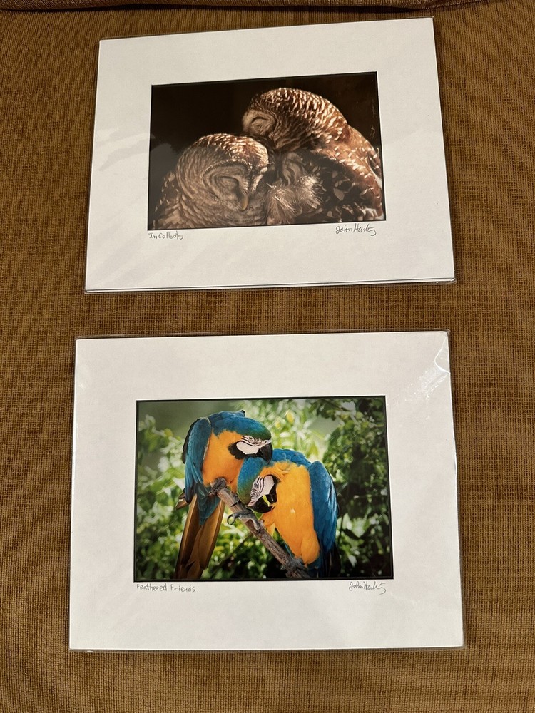 Lot Of 2 Signed photographs John Hartung Feathered Friends & In CoHoots 5×7 8×10