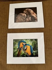 Lot Of 2 Signed photographs John Hartung Feathered Friends & In CoHoots 5×7 8×10
