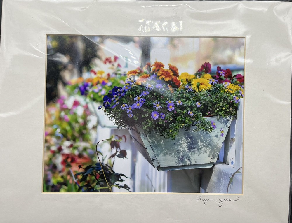 Floral Photography Picture Art by Lynn Jordan «The Flower Box & a Picket Fence»