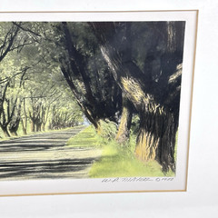 William Thayer Shady Lane Signed Art Photo Hand Colored Matted 6/250 in Plastic