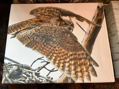 Wall Art Printable Image Bird Wildlife Pics Acrylic Canvas Painting Wall Decor