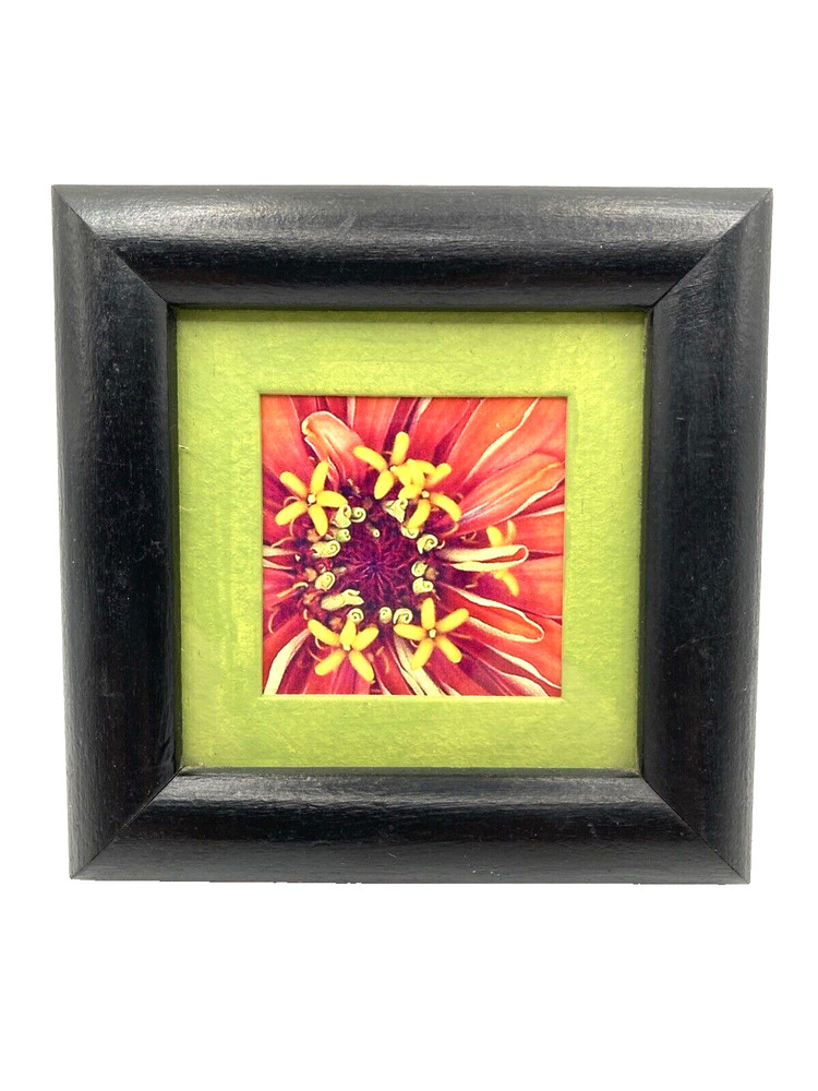 Original Abstract Floral Photograph Framed and Matted Miniature Art 4″ Square