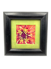 Original Abstract Floral Photograph Framed and Matted Miniature Art 4″ Square