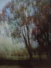 Lynn H. Butler (XX-XXI) Two Trees Sleepy Hollow Cibachrome Print 1990. 3/25