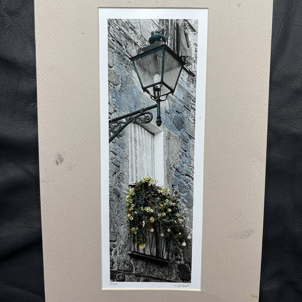 Maureen Love Signed 51/350 Original Art Print «La Luce» (The Light) 10.5 x 19