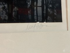 DAVID H GIBSON Photography EARLY Signed Photo CADDO LAKE 1974 ~ LARGE 19″ by 15″