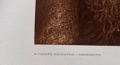 Edward S. Curtis «A Chief’s Daughter» From Original 1912 Photogravure Negative