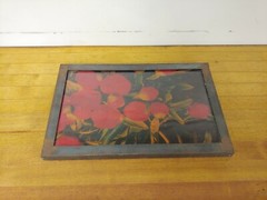 Isack Kounsky Untitled «Red Flowers» Color Photo Art w/ Steel Frame 11″ x 17″