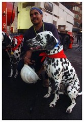 World Trade Center 9/11 Dalmation Rescue Dogs Silver Halide Photo