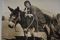 Original Alan Houghton fine art Photography » Actor Duddley Moore» 16 X 20 1980