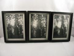 California Redwoods Triptic B&W Original Handmade Art Photographs Framed