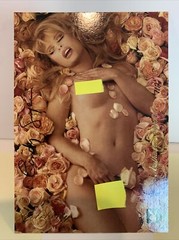 1999 Playboy CINDY GUYER Autograph #712/1300 #3SG 3 1/2×5 Inch Celebrity Card