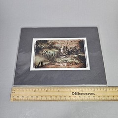 Ronnie Cardwell Courtyard Fountain Photograph Signed Print Louisiana Dreamy Palm