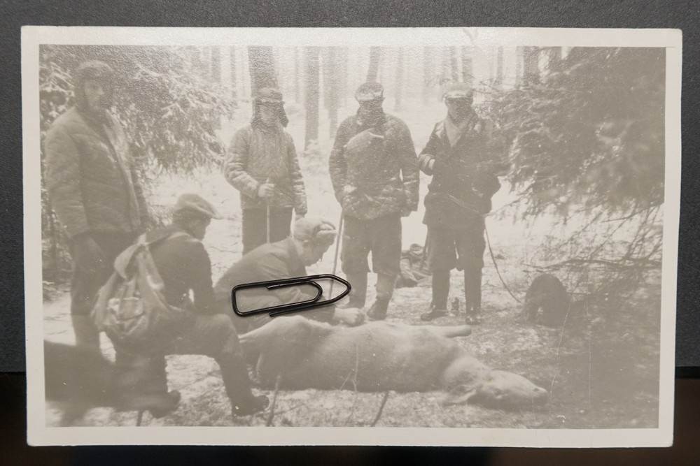 Photo GDR portrait Prenzlau hunting hunter track animal men deer dog picture old