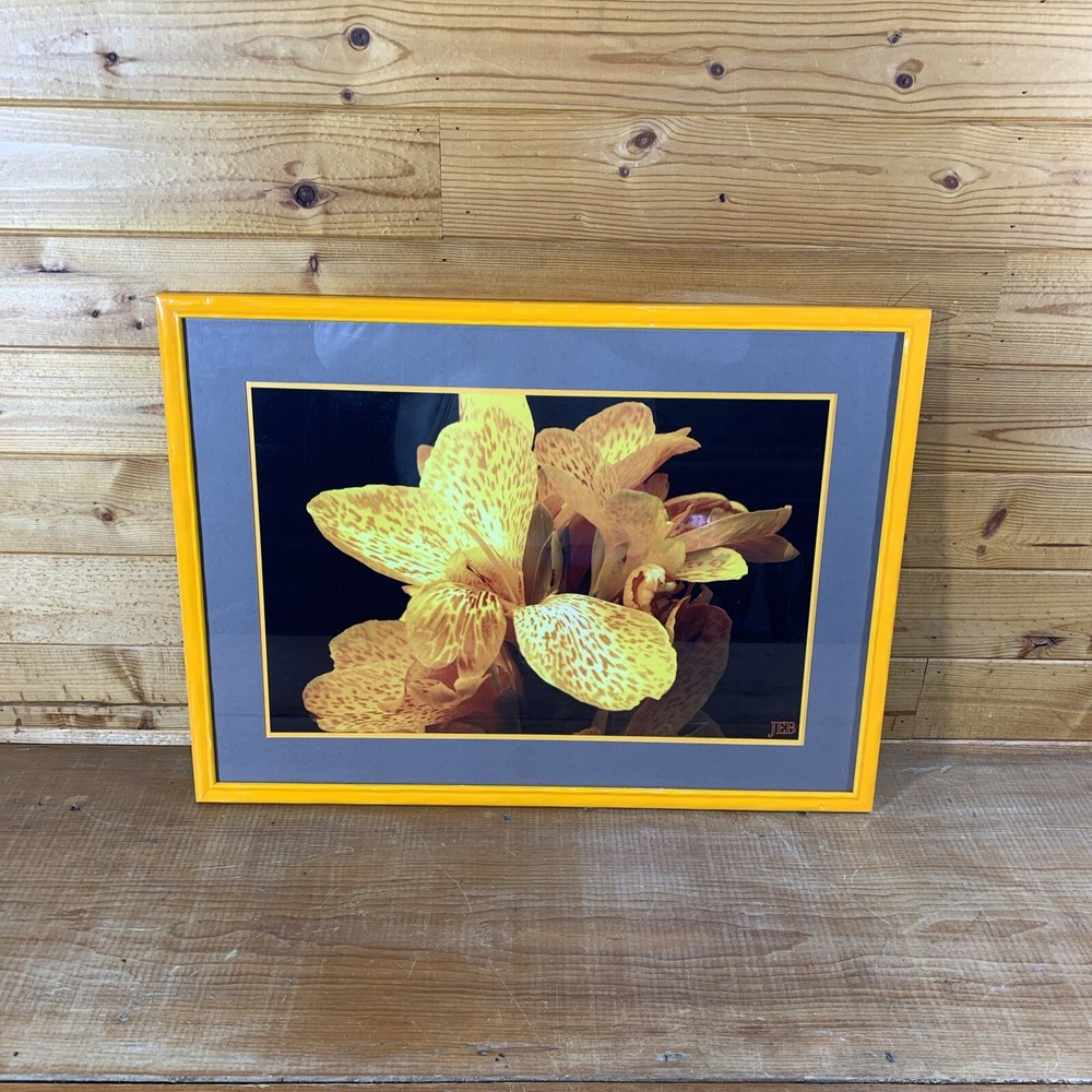 JEB Framed Photography Color Still Life Canna Lily 22-3/4” x 16-3/4” x 5/8”
