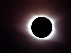 The Great American Eclipse – 12»x18» Metal Aluminum Sheet Print – Glossy