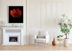 Orange Cosmos Flower, Picture Print, Modern Floral Wall Decor, 16x20inch