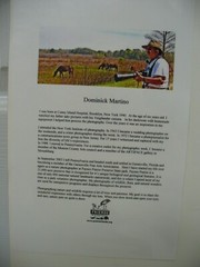 MATTED PHOTOGRAPHY Paynes Prairie White Egret 3 16×20 Dominick Martino