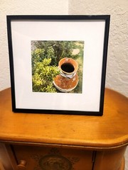 Original Photo Matted in an 8 x 8 Inch Frame-Clay Pot/Outdoor Greenery Backdrop