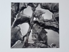 Richard Garrod, black and white photography, Tidepool, Pebble Beach State Park