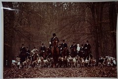 Analog Photo France Hunting Dog Horse 24X30Cm 1970