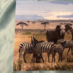 Paul Gruner elephant & zebra safari Metal Art Signed