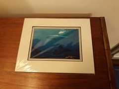 Great White Sharks, signed/matted 8×10 photograph by Mark J. Thomas