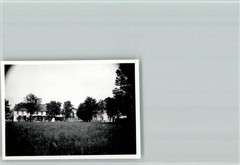 40126242 – 4441 Schapen Photo 6x8cm