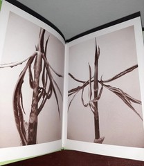 RON VAN DONGEN: One Picture Book Ltd Ed SIGNED w Photo ‘Arisaema Angustatum’ NEW
