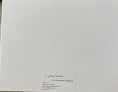 Artist Cynthia Hankins Signed Photo & Matte Turtle Cleaning Station Kona, Hawaii