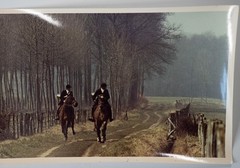 Vintage Hunting Photo France Horse Chasse À Courre Vènerie COR 15x24cm 1970