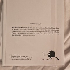 (3)Signed Tom Soucek Polar Bear Cub Photograph Anchorage Alaska (2) Walker/Bushu