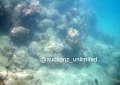 Digital Image Picture Photo Pic Andaman India underwater coral life scuba AND029