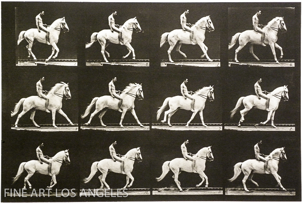 Eadweard Muybridge Photo, White Horse with Rider, 1880s