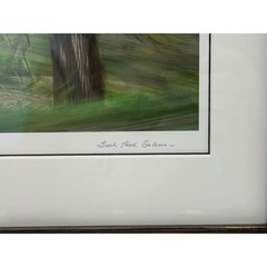 Sarah Hood Salomon Early Spring Framed Archival Photo Signed Numbered 3/25 Art