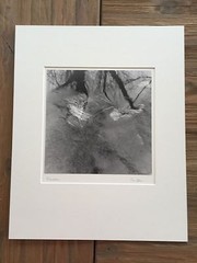 BRUCE BLUM Matted & SIGNED B&W Photo Print (10″X10″)- National Zoo»