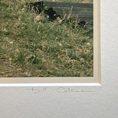 Bill Coleman Signed Amish No 590 AP Artist Proof ORIG Photograph Children Barn