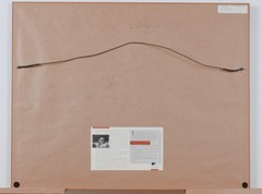 1991 Thomas Mangelsen «The Perch – Carmine Bee-Eaters» Signed L.E. 515/950 Photo