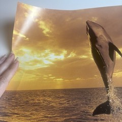 Artwork Wall Art By Tom Brakefield “Freedom Dance” 20×16 Dolphins Ocean Sunset