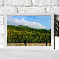 Non-AI Digital Photo Mountain View Palms Bohol Philippines Nature Landscape Sky