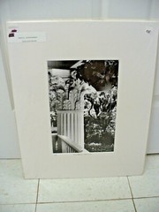 MATTED PHOTOGRAPHY Corinthian Column A/P 2006 By Larry Santucci 16×20 B&W