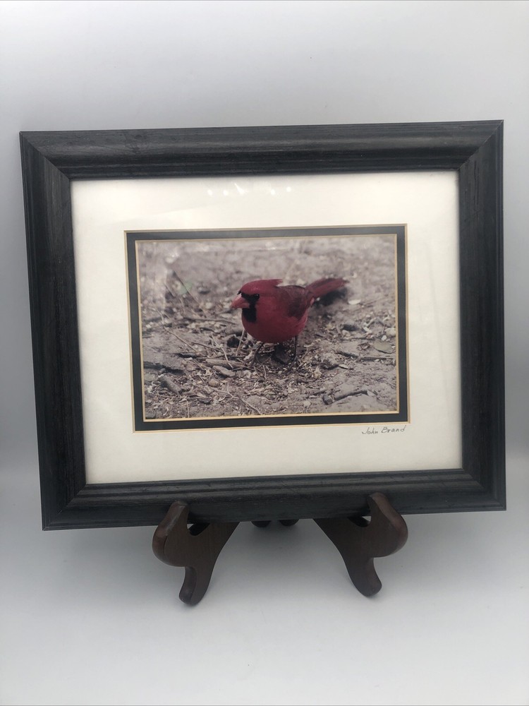 Cardinal Framed Photography Print 7”x5” Matted Framed 12”x10” 2001 Signed